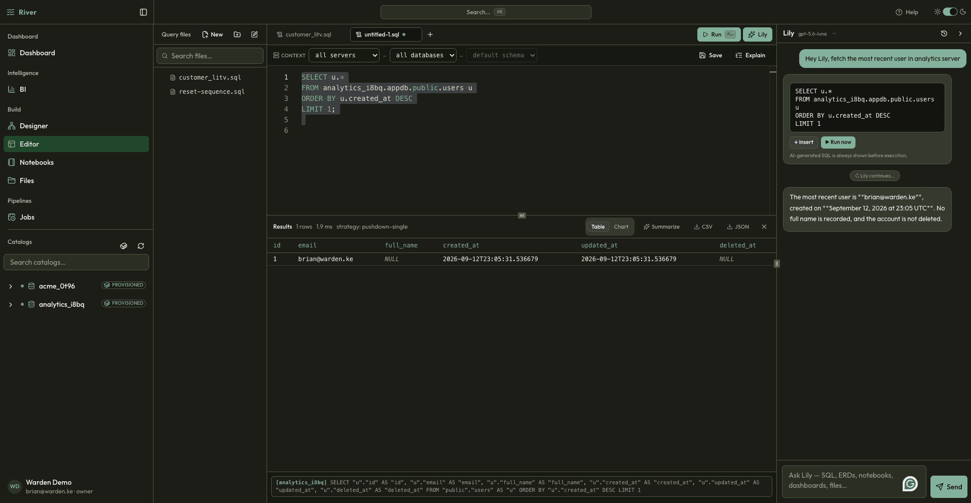 River query editor with schema-aware SQL and results